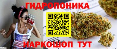 не бодяженный Камышлов