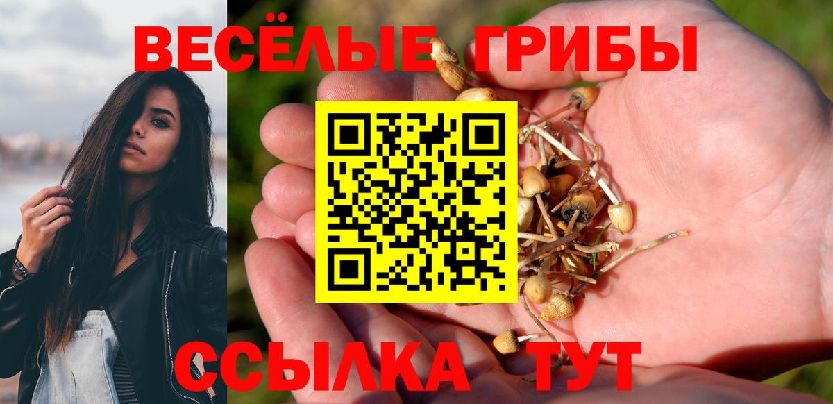 Псилоцибиновые грибы GOLDEN TEACHER  Вход с VPN  Краснознаменск 